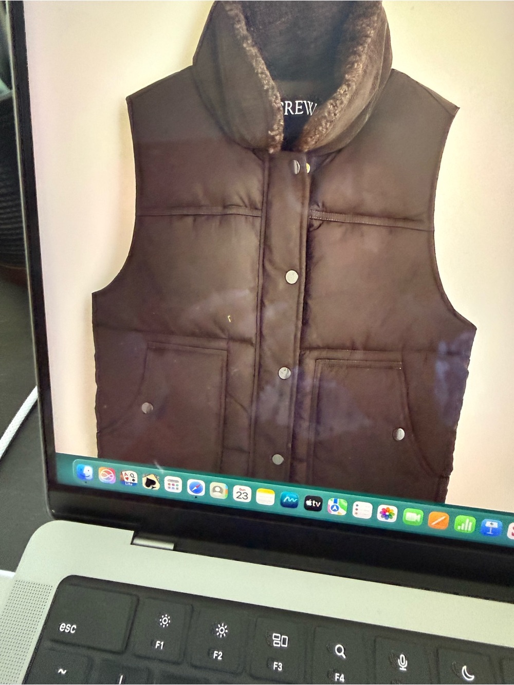 J Crew Mossy Brown Puffer Vest with Prima Loft